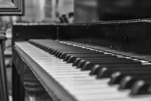 Piano-Moving--in-Everett-Washington-piano-moving-everett-washington-3.jpg-image